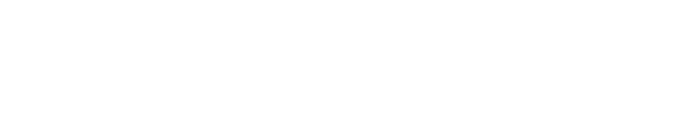 Nomad-L Logo